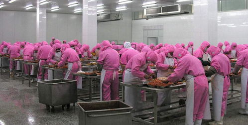 食品加工廠潮濕環境下橡膠制品的維護與解決方案